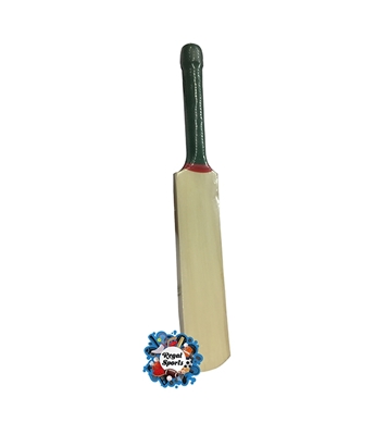 Buy Signature And Autobiography Cricket Bat 13Inch Online