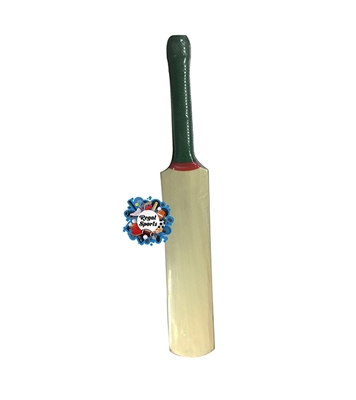 Buy Signature And Autobiography Cricket Bat 13Inch Online