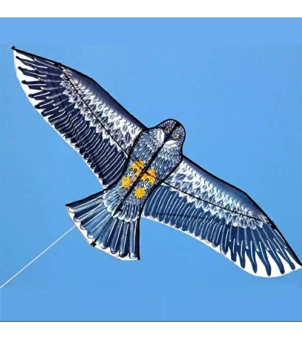 Buy Eagle Kite Single Line Large Bird Flying Kite Kids Outdoor Toy Online