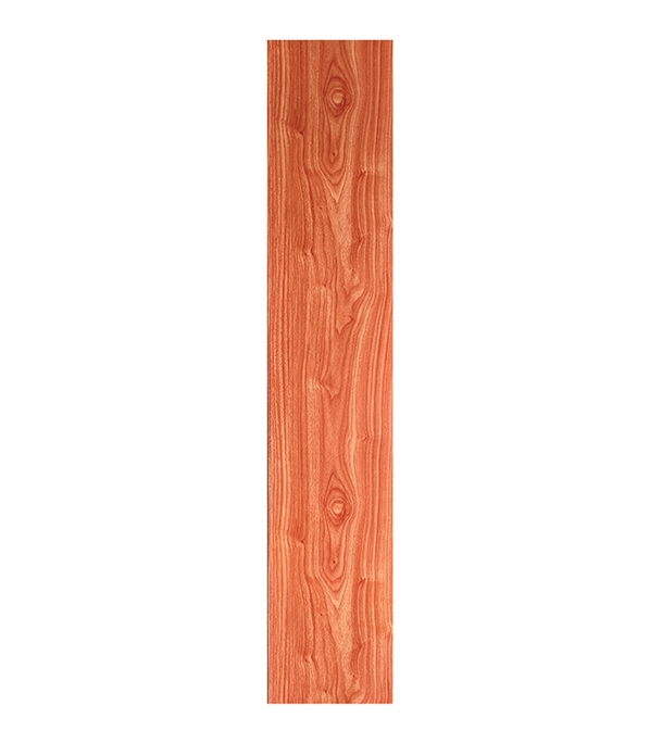 Buy Decorative Woody 9'x10" Online at best price In Bangladesh