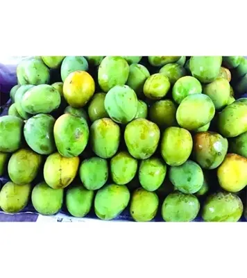 Buy Garden Fresh Himshagor Mango Online at Best Price
