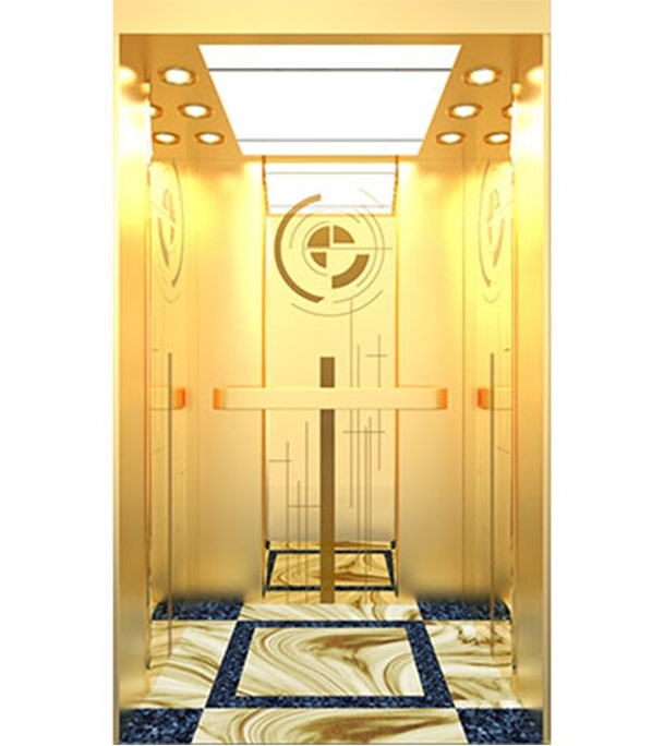 Buy Passenger Lift PL001(G) at Best Price In Bangladesh	