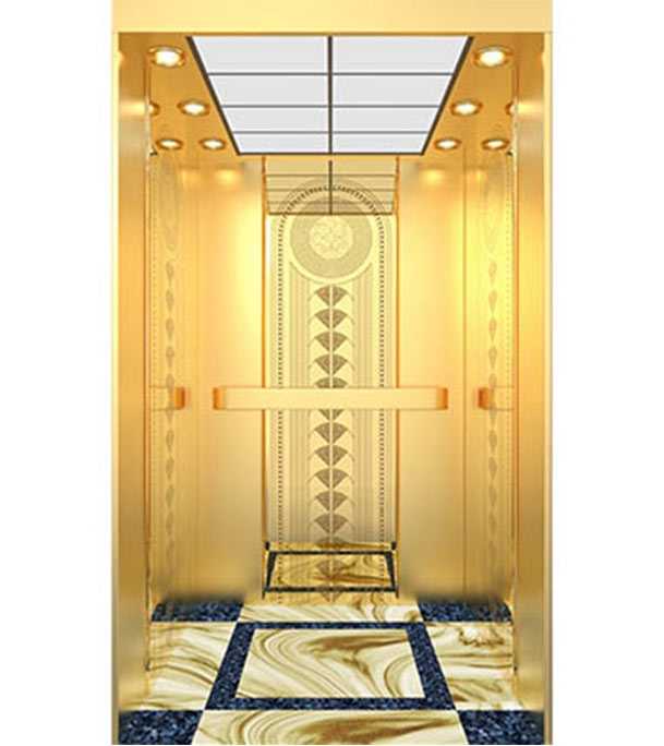 Buy Passenger Lift PL003(G) at Best Price In Bangladesh	