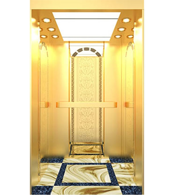 Buy Passenger Lift PL005(G) at Best Price In Bangladesh	