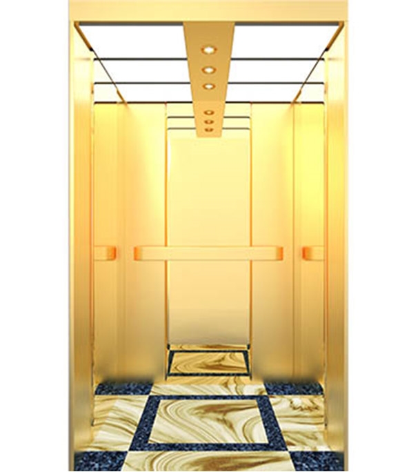 Buy Passenger Lift PL006(G) at Best Price In Bangladesh	