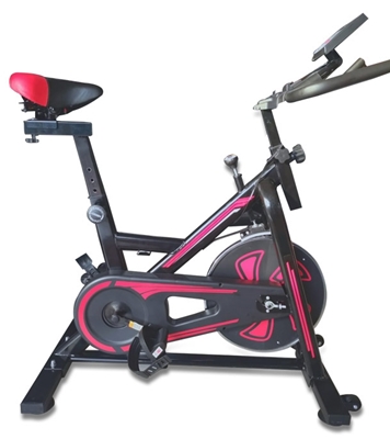 Buy Spinning Bike Wellness Fitness CF-1317 Online	