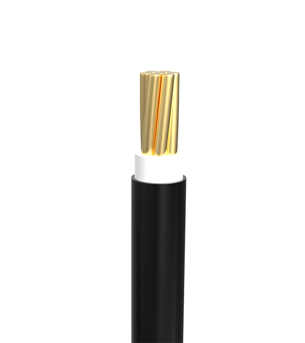 Picture of Bizli Cable BYA-FR (2.5-rm) Black