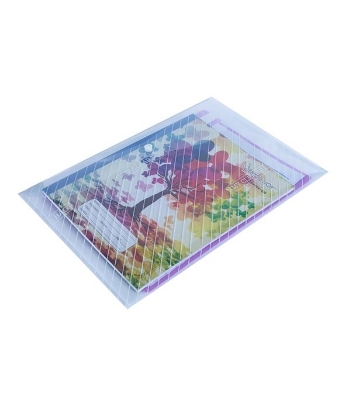 Buy Good Luck My Clear Bag - FC Online at Best Price