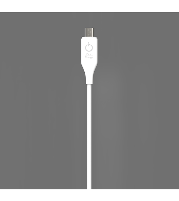 Buy Bizli USB Cable Type-B 3A Online at Best Price