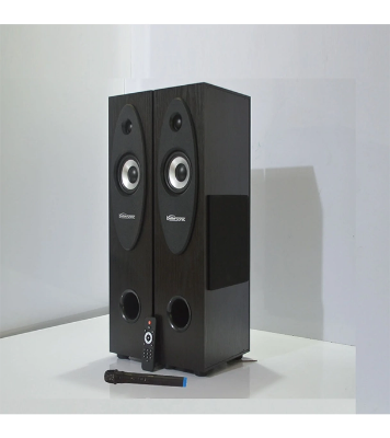 Buy Kamasonic T30X Bluetooth Speaker With Wireless Microphone Online at Best Price