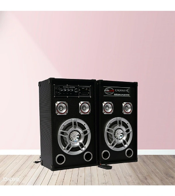 Buy Kamasonic SK-1008 Bluetooth Speaker With Wireless Microphone Online at Best Price