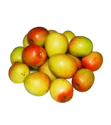 Buy Boroi Apple Kul Online 