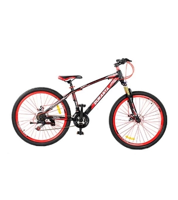 Picture of Duranta Gravity Multi Speed 26" Bicycle