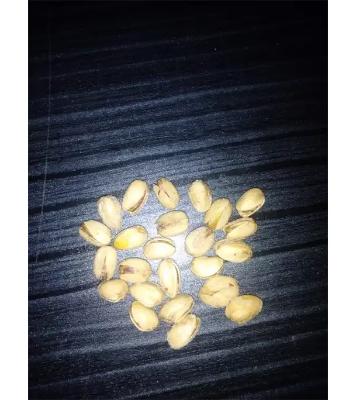 Premium Salted Pista Badam Baja Pesta Nuts - 500 gm Pistachio