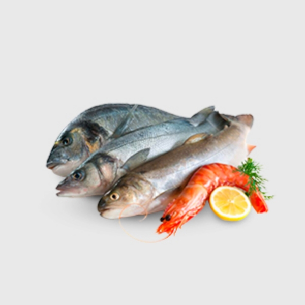 Picture for category Fish