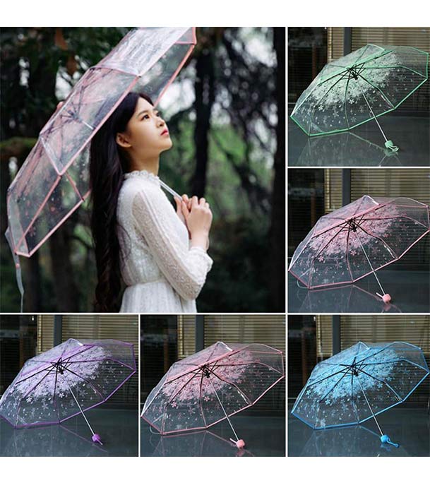 Buy Transparent Umbrella Online