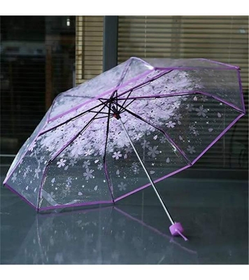 Buy Transparent Umbrella Online