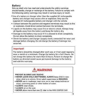 Picture of Mini Cooper Car