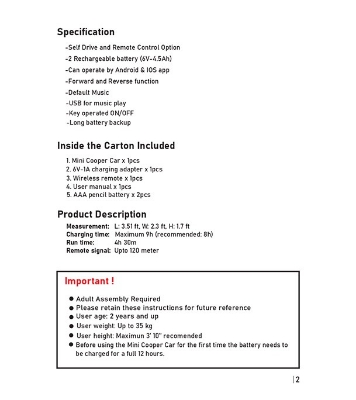 Picture of Mini Cooper Car