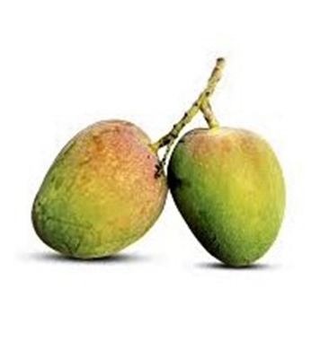 Buy DS Garden Fresh Bari-4 Mango (Per Kg)  Online