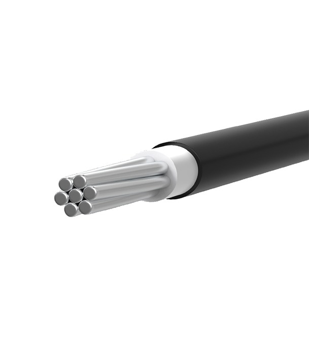 Buy Bizli Cables BAYA (3.0 rm) Black Online	