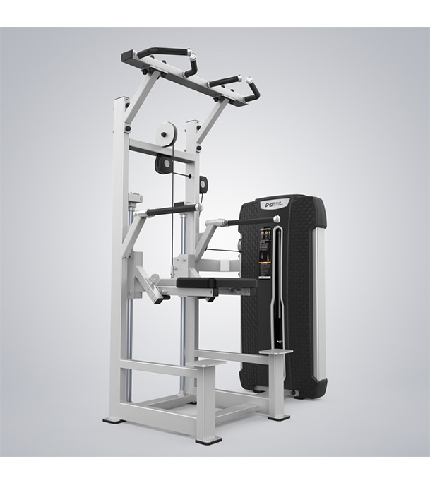 Buy Dip/Chin Assist Online