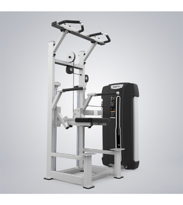 Buy Dip/Chin Assist Online