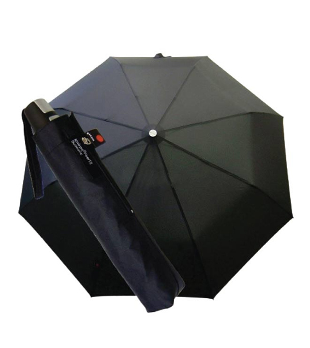 Buy Sankar Umbrella With Box Online
