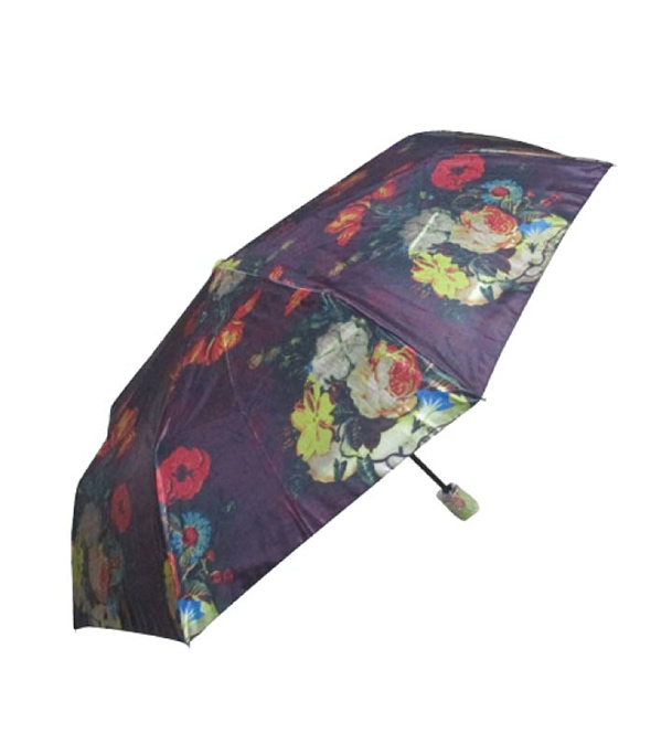 Buy Atlas Umbrella Print  Online