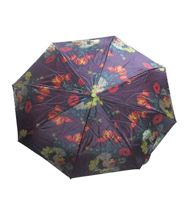 Buy Atlas Umbrella Print  Online