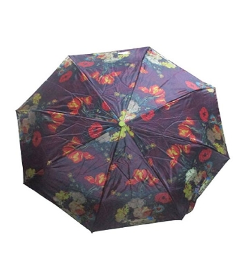 Buy Atlas Umbrella Print  Online