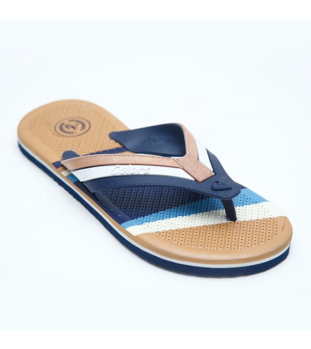 Picture of Ajanta Colors Men's Hawai Sandals