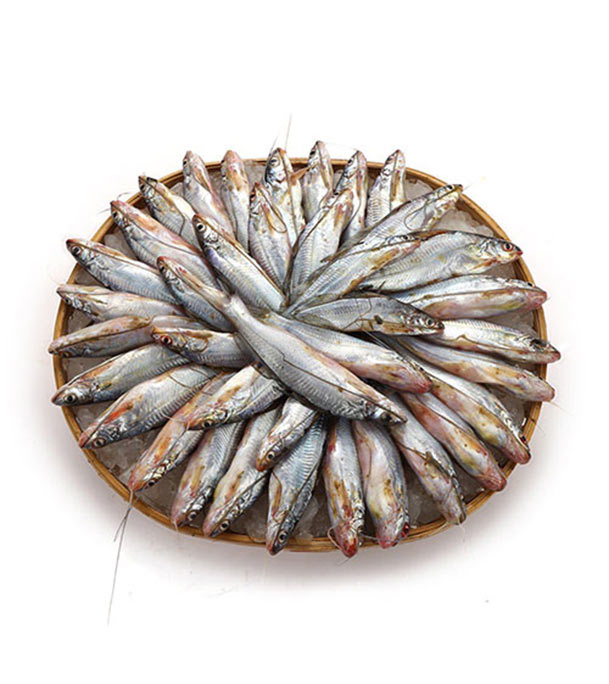 Buy Gulsha Fish 1 kg Online