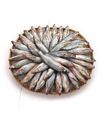 Buy Gulsha Fish 1 kg Online