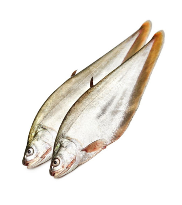 Buy Pholy Fish 1 kg Online