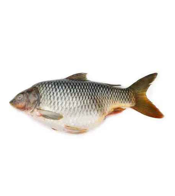 Buy Karfu Fish (কারফু মাছ) 1kg Online at Best Price