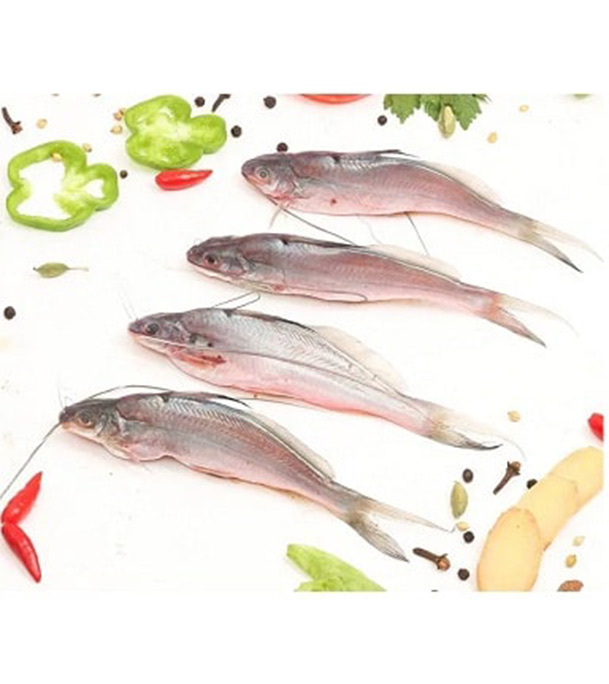 Picture of Tangra Fish (টেংরা মাছ) 1kg