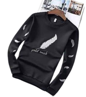 Picture of Exclusive Winter Sweat Shirt For Men