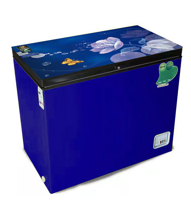 Buy VISION Glass Door Chest Freezer RE-150 Liter Blue Flower at Best Price In Bangladesh