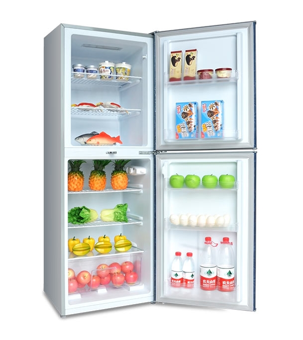 Buy VISION Refrigerator VIS 217 Red Flower Online