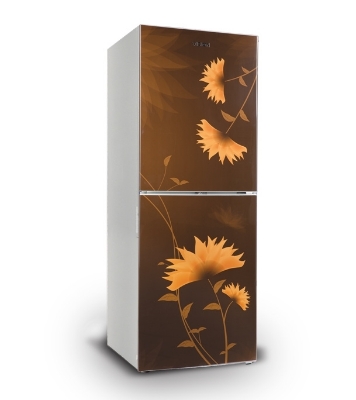 Picture of VISION Refrigerator Frost RE 238 L Lotus Flower Brown BM