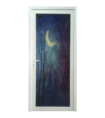 Buy Casement Door 5mm Temper Printing Glass at Best Price in Bangladesh