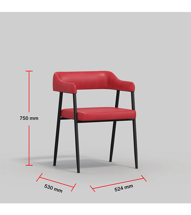 Buy Regal DINING/ CAFE/ VISITOR CHAIR Metal Dining/cafe/Visitor chair II CAFÉ CHAIR-201 Online at Best Price