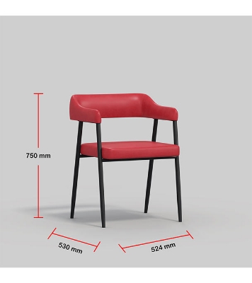Buy Regal DINING/ CAFE/ VISITOR CHAIR Metal Dining/cafe/Visitor chair II CAFÉ CHAIR-201 Online at Best Price