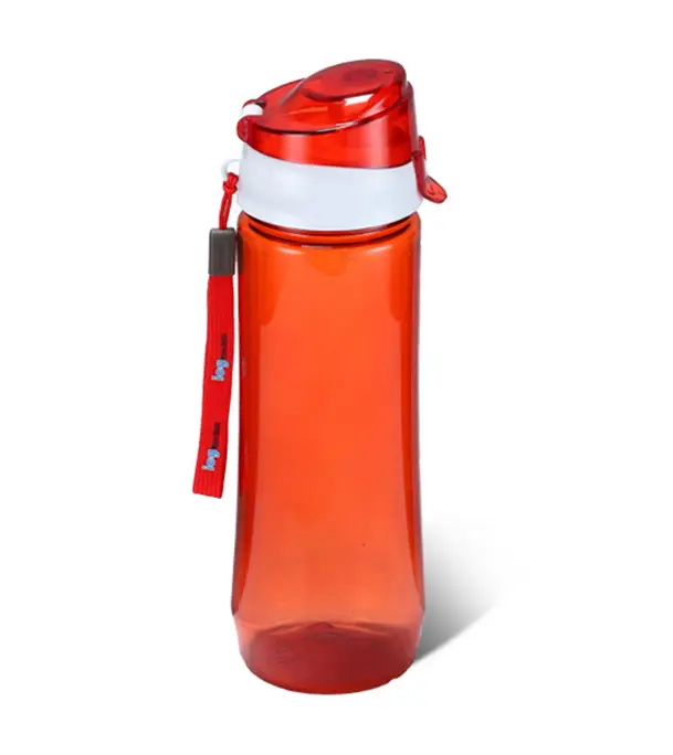 Buy Buxton Water Bottle 600 ML - Trans Pink Online