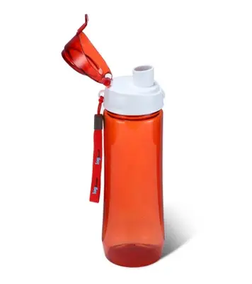 Buy Buxton Water Bottle 600 ML - Trans Pink Online