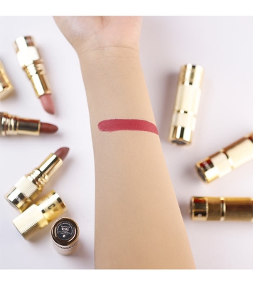 Buy SoftBurnt Matte Makeup Holding lipstick 3g G102 at Best Price In Bangladesh 