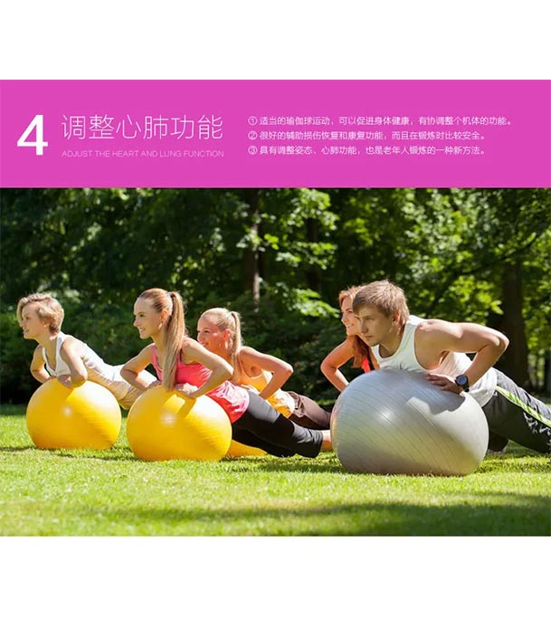 Gym Exercise Ball with Pumper For Body Fitness yoga Ball (75 cm)- Premium Quality