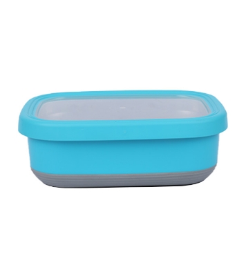Buy SS Tiffin Box Rtg Blue Online at Best Price