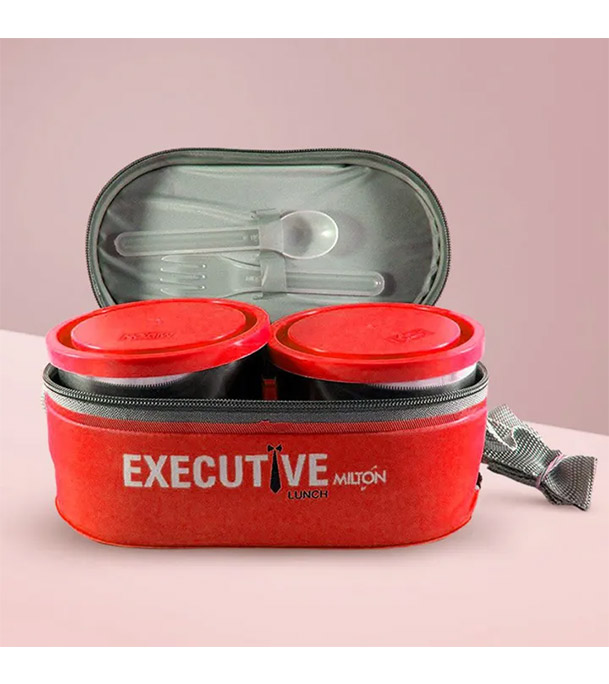 Buy Milton Executive Lunch Box Soft Insulated Tiffin Box at Best Price In Bangladesh